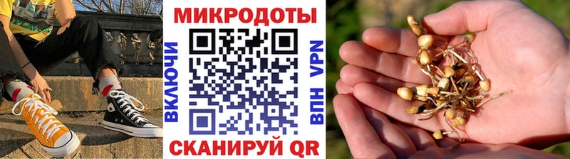 Галлюциногенные грибы мухоморы  Куйбышев 